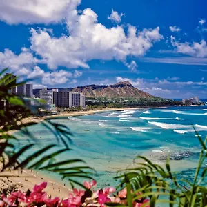 Ocean View Escape, Steps To & Free Parking! Apartment Honolulu